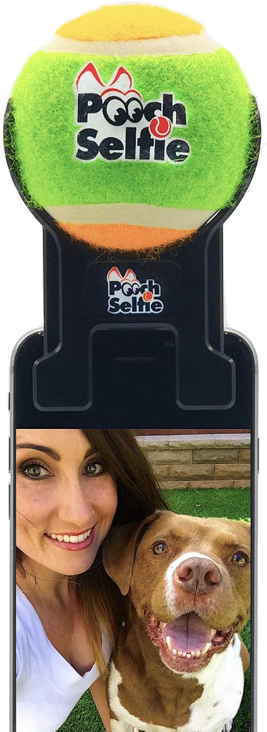 Pooch Selfie green clip attached to a smartphone with a dog looking at the camera