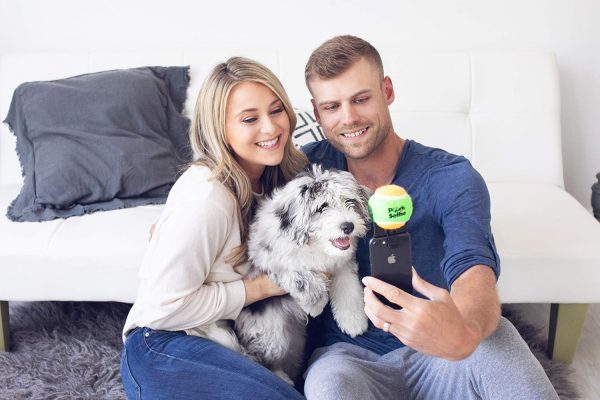Pooch Selfie Green Clip Dog Accessory Clever-4